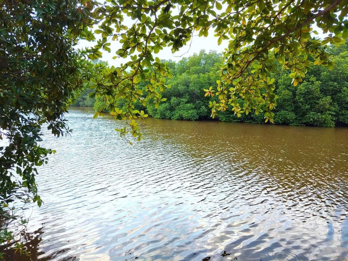 Lake view 3, River Shades Hotel, Hikkaduwa