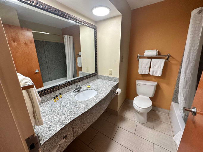 Bathroom 5, Best Western Plus Bass Hotel & Suites, Saint Clair