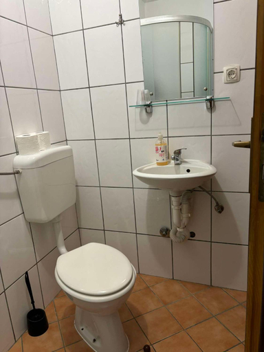 Bathroom 3, Vila Dora B&B, Požega