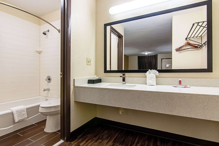 Bathroom 3, Econo Lodge Inn & Suites Matthews - Charlotte, Mecklenburg