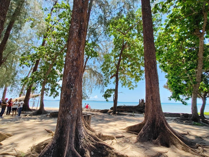 Others 5, KEVINS-Port Blair, South Andaman