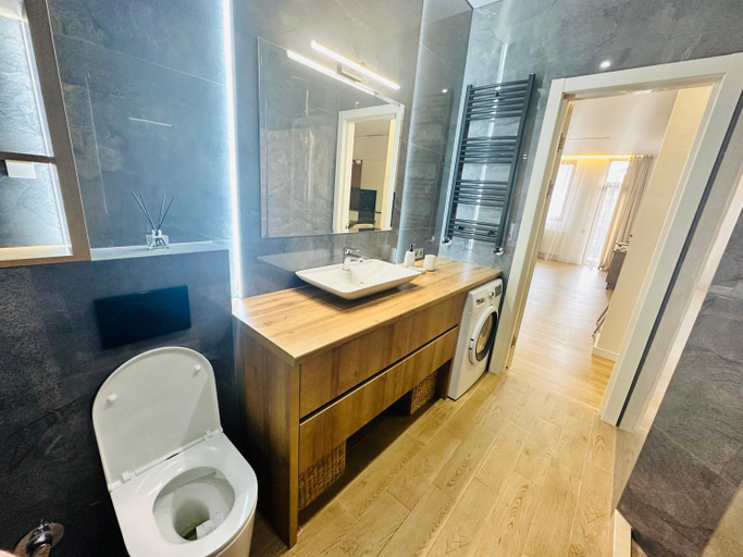 Bathroom 3, Lina’s seaside apartments, Batumi