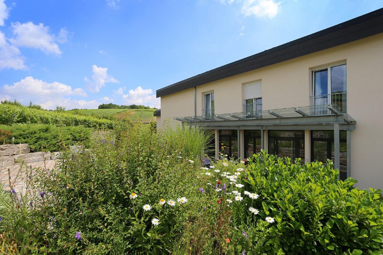 Exterior view 4, BENZ Weingut & Weinhotel, Main-Tauber-Kreis