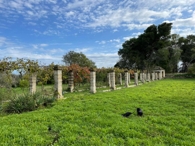 Others 2, Masseria Vigneri - Gia Casino Vigneri, Lecce