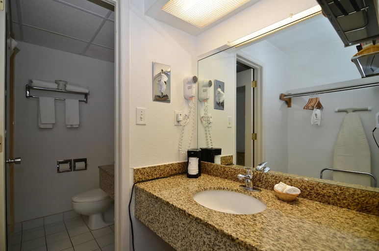 Bathroom 3, Wyndham Garden Ankeny, Polk