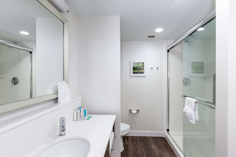 Bathroom 2, Hampton Inn Columbia I26 Harbison Road, Richland