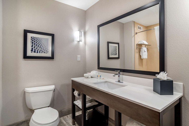 Bathroom 3, Comfort Suites McDonough Atlanta South, Henry