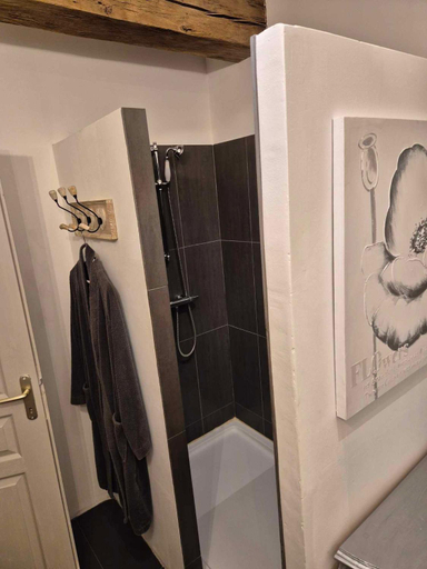 Bathroom 3, Le Chai de Villiers, Vienne