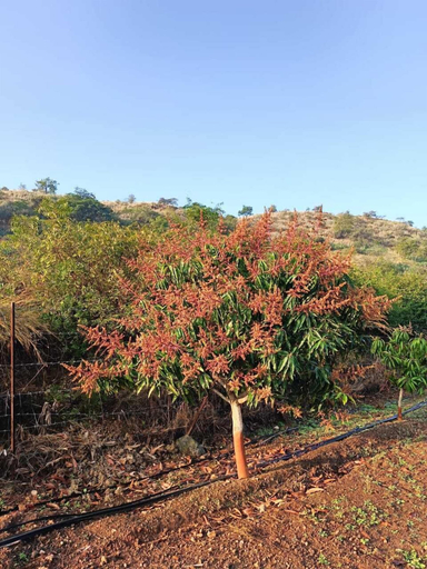Others 3, Aikant Agro Tourism Pondewadi, Pune