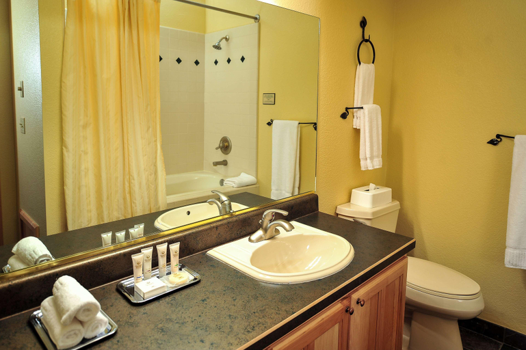Bathroom 5, Hilton Vacation Club Cedar Breaks Brian Head, Iron