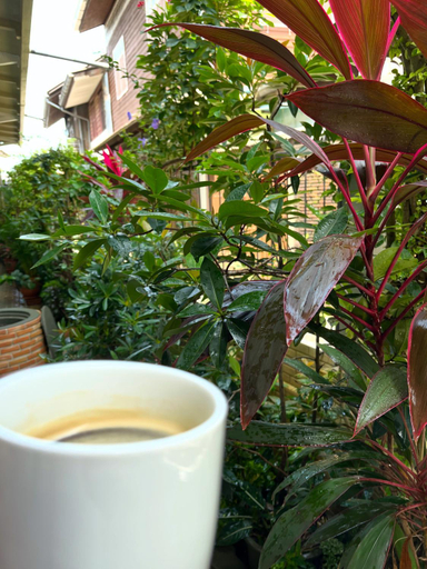 Food & Drinks 4, Rimklong Boutique Hotel Trad, Muang Trat