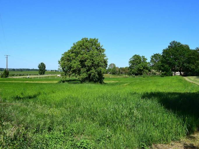 Others 5, Loire Countryside Escape near Castles, Vienne