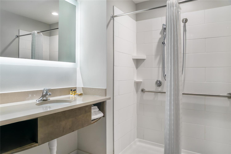 Bathroom 4, Best Western Plus Wayland Hotel, Allegan