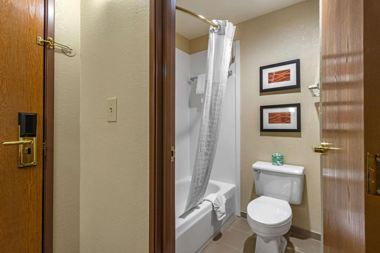 Bathroom 3, Comfort Inn & Suites Springfield I-44, Greene
