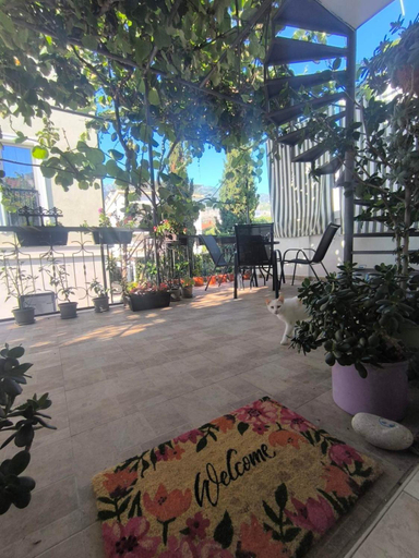 5, Kiwi Apartments Budva