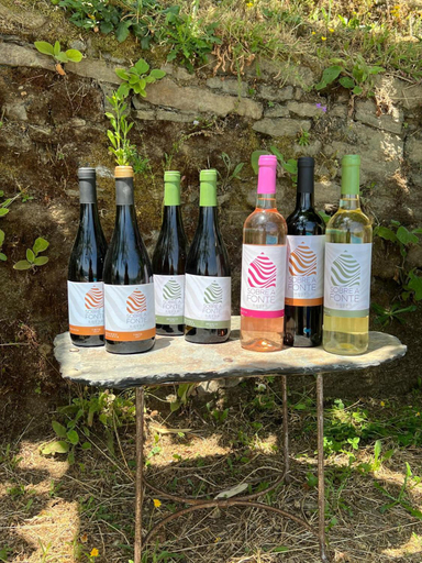 Food & Drinks 5, Quinta de Sobre a Fonte Charming Apartments - traditional winery, Peso da Régua