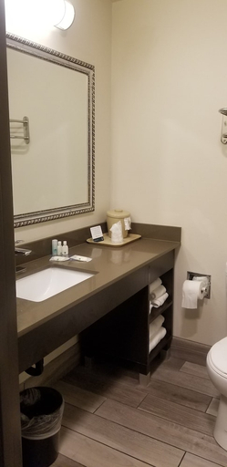 Bathroom 4, Quality Inn Downtown Convention Center, Multnomah