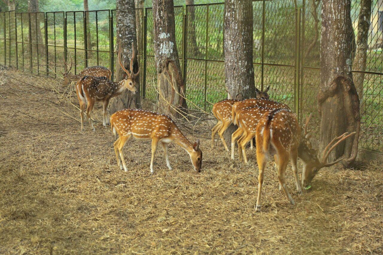 Exterior 4, Matir Maya Eco Resort Gazipur, Gazipur