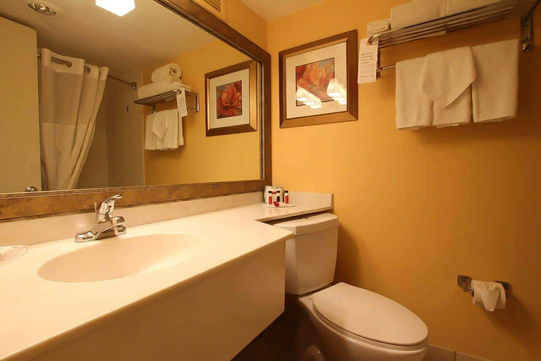 Bathroom 3, Ramada by Wyndham Tucson, Pima