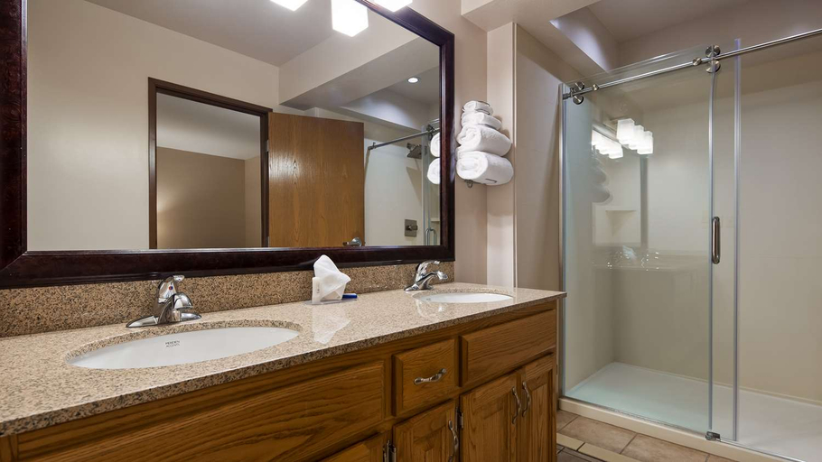 Bathroom 4, Best Western Flora Inn, Clay