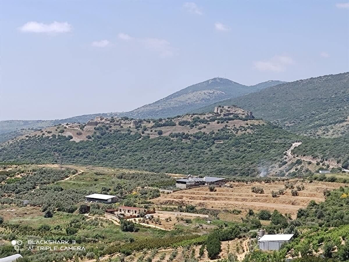 Exterior 2, tsemrem sof aolam 1