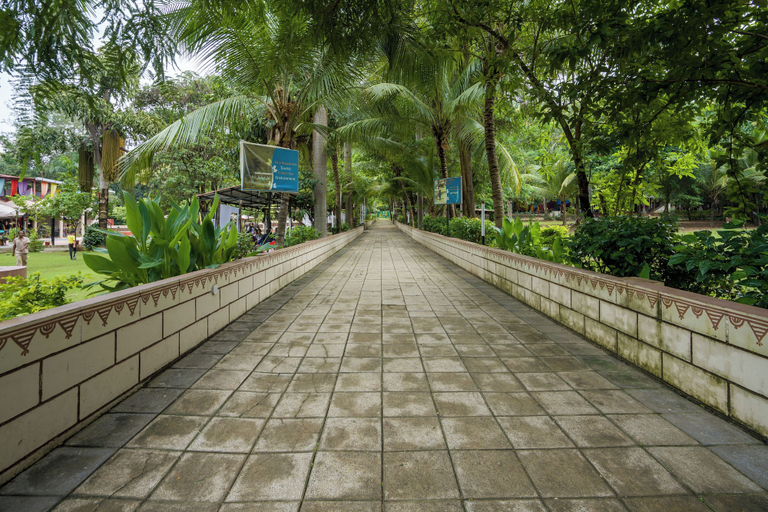 Primary image
