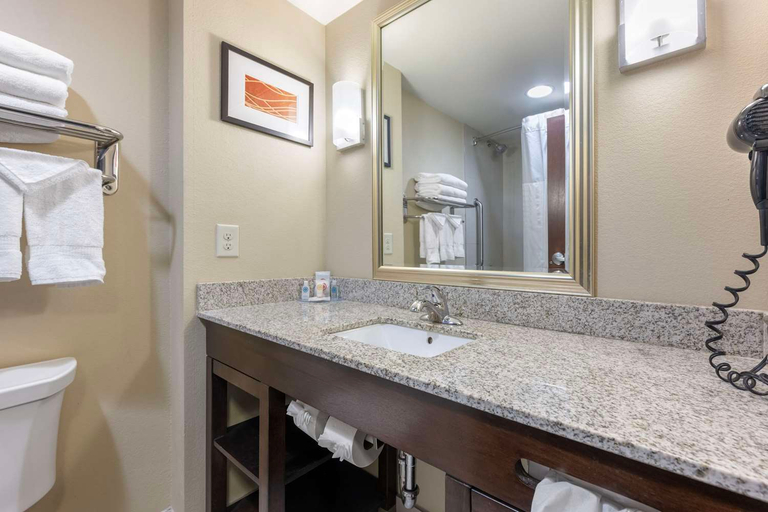 Bathroom 3, Comfort Inn & Suites Artesia, Eddy