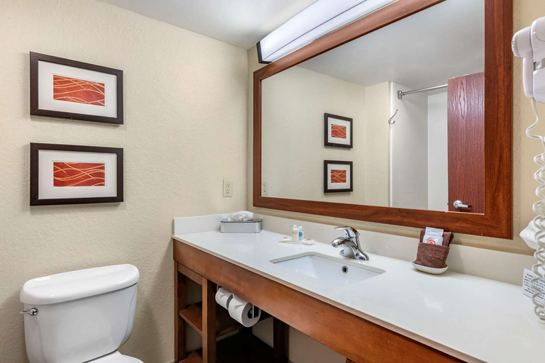 Bathroom 4, Comfort Inn & Suites Orlando North, Seminole