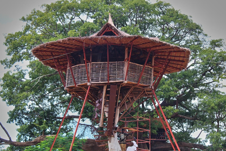 Bar (on property), Wassado cultural lodging, Oussouye