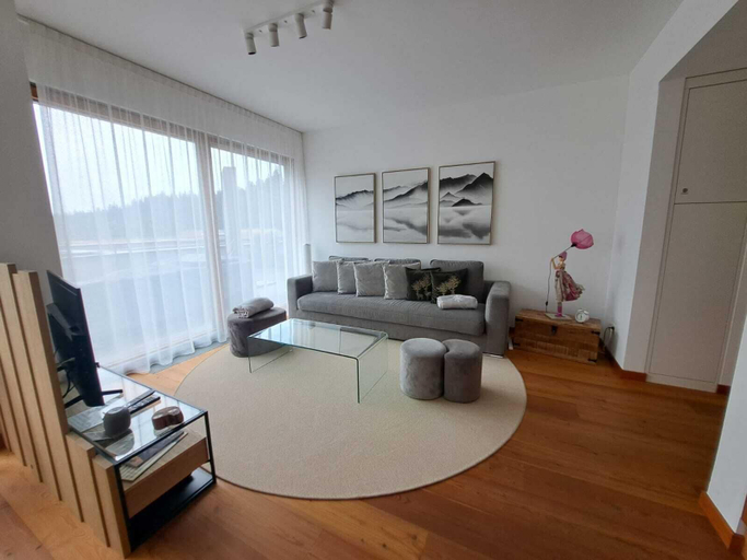 Living area 3, Laax Alpine Lodge, Surselva
