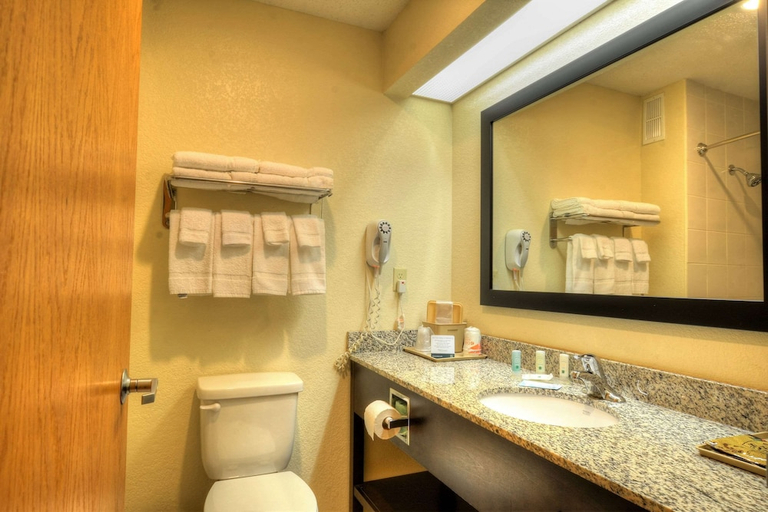 Bathroom 5, Quality Inn Cherokee Riverside, Swain
