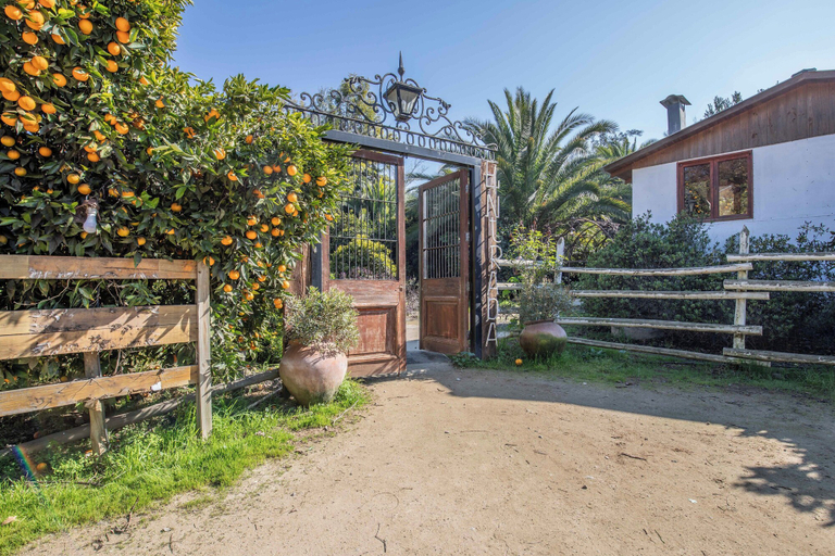 Front of property 3, Lodge Los Naranjos de Mallarauco, Talagante