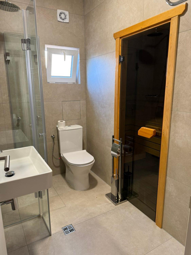 Bathroom 5, Alpin Borovets, Алпин Боровец, Samokov