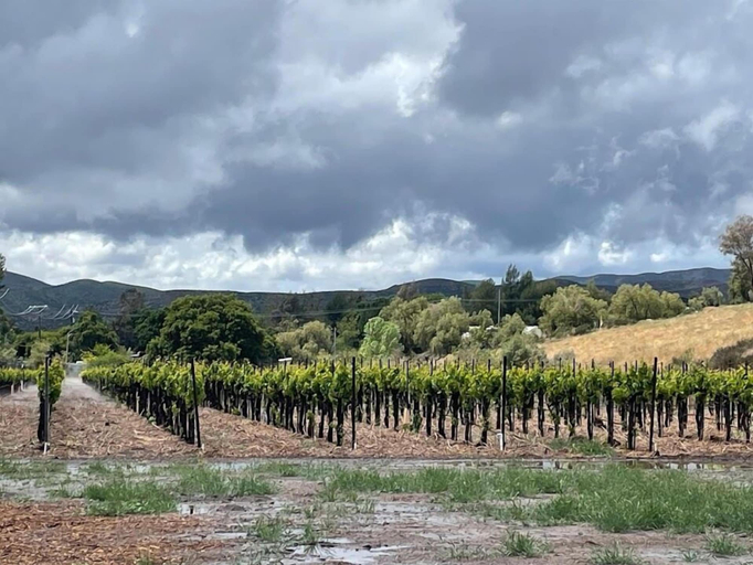 Vineyard, Sierra Pelona Motel, Los Angeles