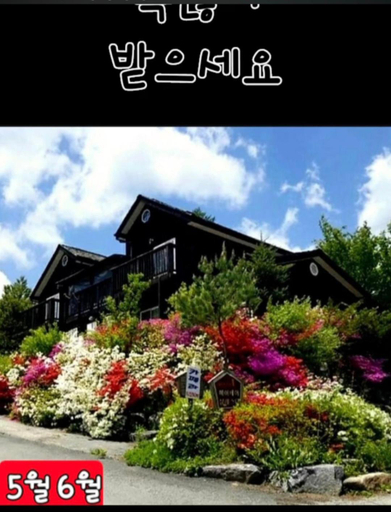 Exterior & Views 1, Gilson Story Pension, Pyeongchang