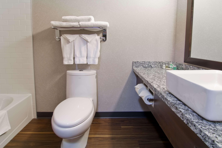 Bathroom, Home Inn and Suites Regina Airport West, Division No. 6