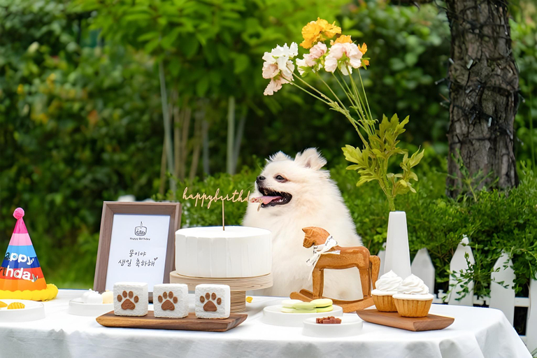 Food & Drinks 4, Yeoncheon Happy Dog Pension, Yeoncheon