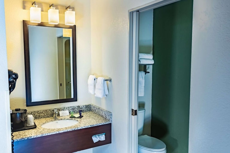 Bathroom 4, Sleep Inn Pasco Tri-Cities, Franklin