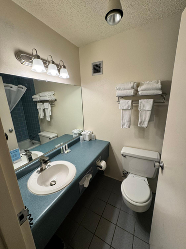 Bathroom 3, Hot Springs Hotel & Spa, Hot Springs
