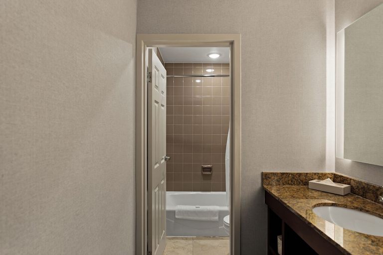 Bathroom 3, Wingate by Wyndham South Bend/Notre Dame, Saint Joseph