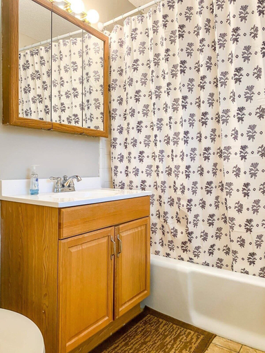 Bathroom 3, Mahan Splashdown, Madison