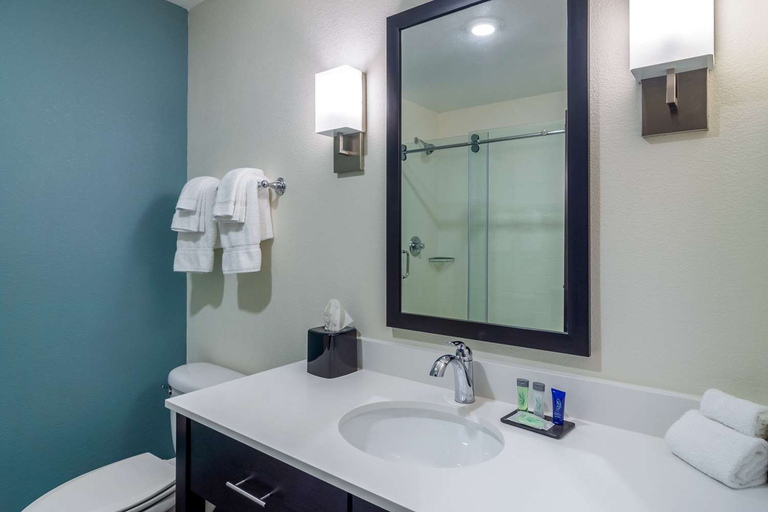 Bathroom 3, Sleep Inn Newnan Atlanta South, Coweta
