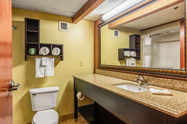 Bathroom 4, Wingate by Wyndham Conway, AR, Faulkner