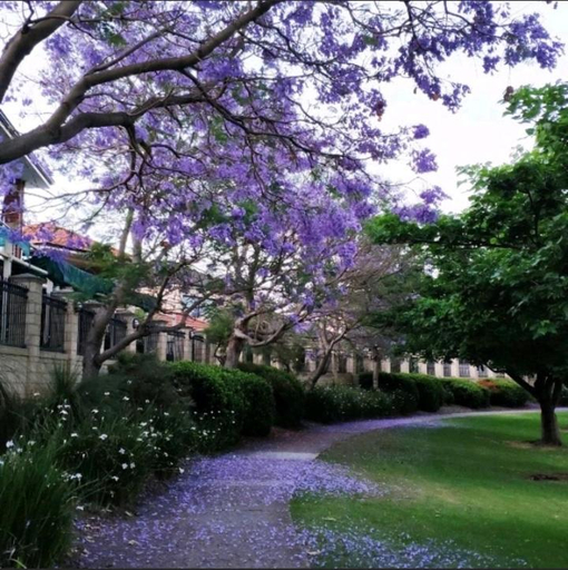 5, Lovely granny flat, Perth