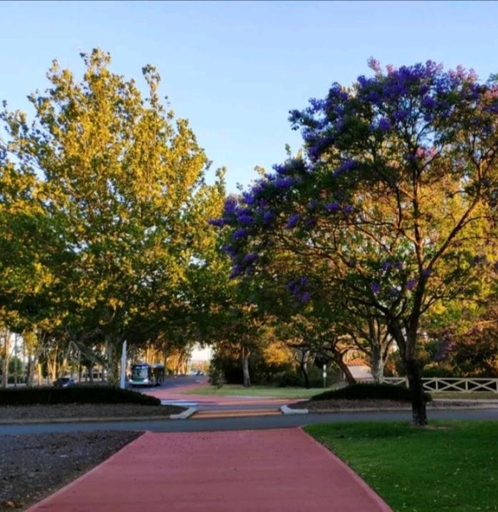 3, Lovely granny flat, Perth