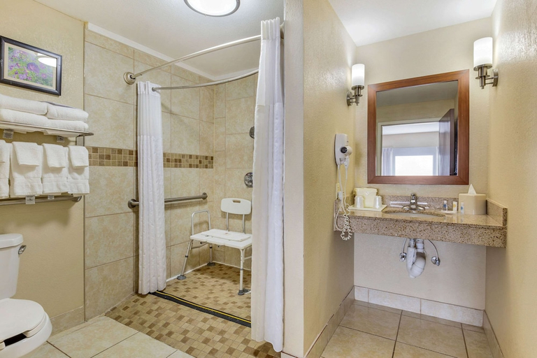 Bathroom 4, Comfort Suites Wilson I-95, Wilson