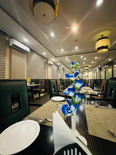Food & Drinks 4, The Radiant Swan, Bharuch