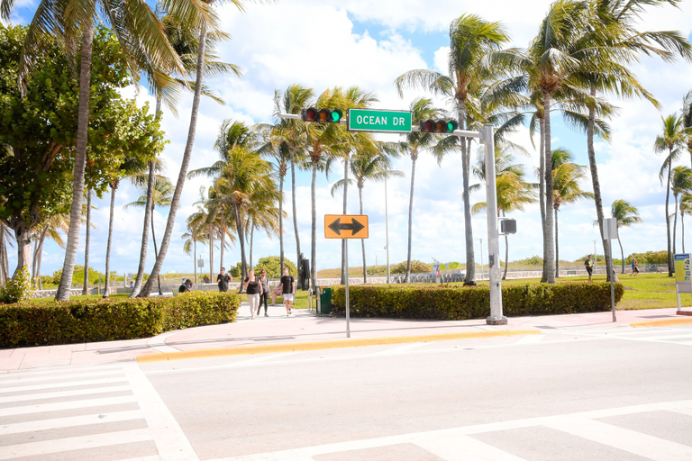 Others 5, Ithaca Hotel, Miami-Dade