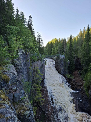 Hiking, Torsmogården B&B, Orsa