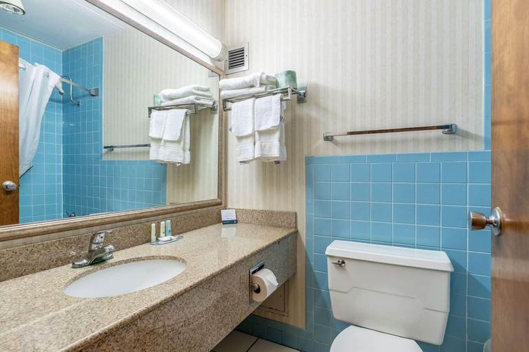 Bathroom 3, Quality Inn & Suites Albert Lea, MN, Freeborn